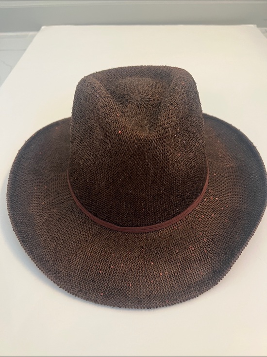 Anthropologie Brown Cowgirl Hat main image 4
